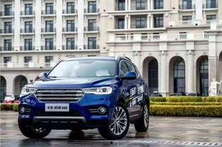 国产二,崛起中的民族品牌力量