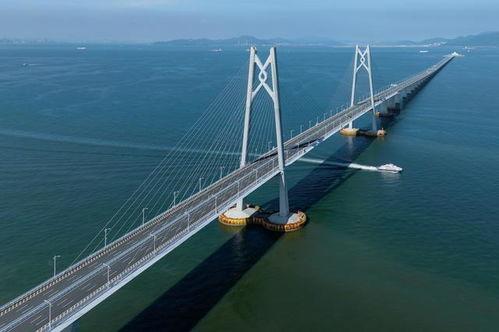 国产激情区,探索中国电影市场的独特魅力