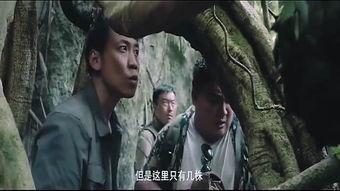 国产免费的野战视频