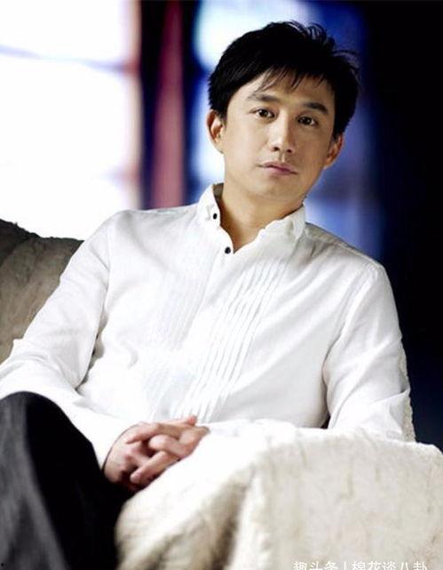 娱乐君吃瓜黄磊是谁呀,黄磊背后的故事与争议